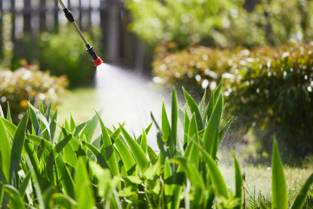 24/7 Emergency Mosquito Control experts in Spring Mount, PA
