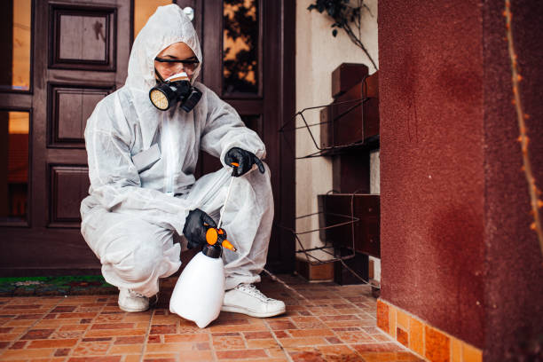 Reliable Mosquito Control contractor in Spring Mount, PA by Show Me Pest Control